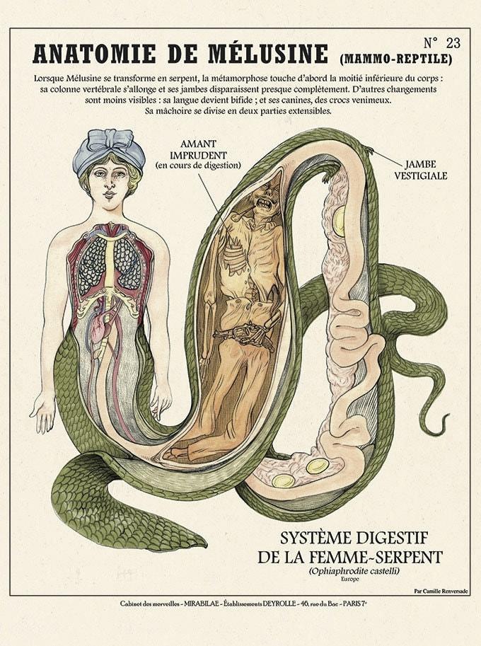 Découvrir Mélusine: Légende de la Femme-Serpent